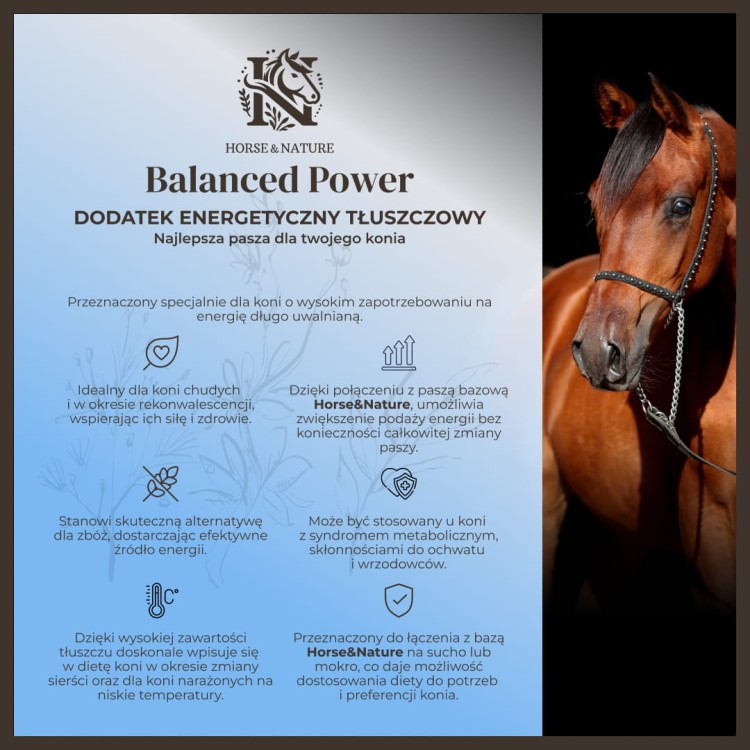 Balanced Power dodatek tłuszczowy dla koni 2
