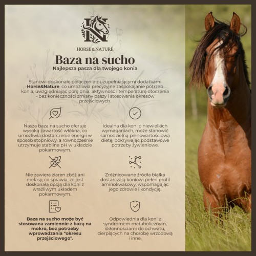 Podstawowa pasza dla koni bez zbóż opis