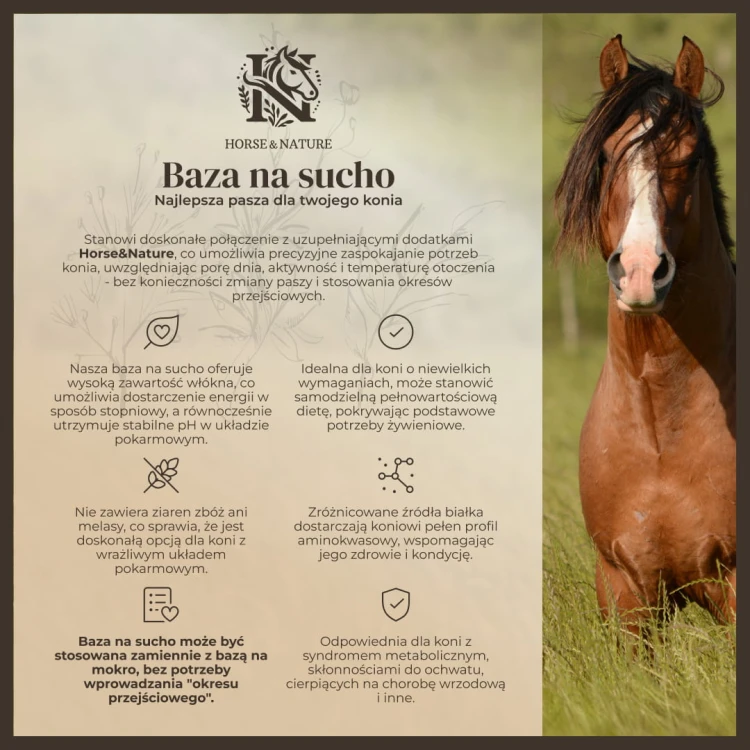 Podstawowa pasza dla koni bez zbóż opis