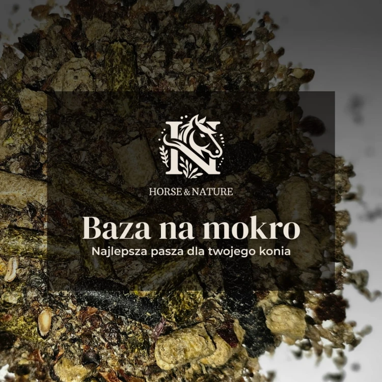 pasza dla koni - baza na mokro