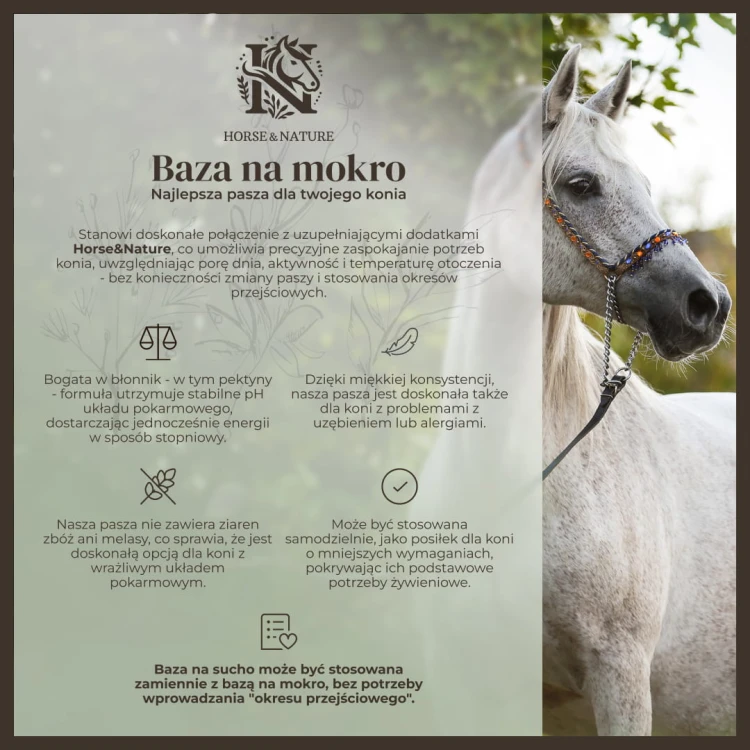 pasza dla koni - baza na mokro