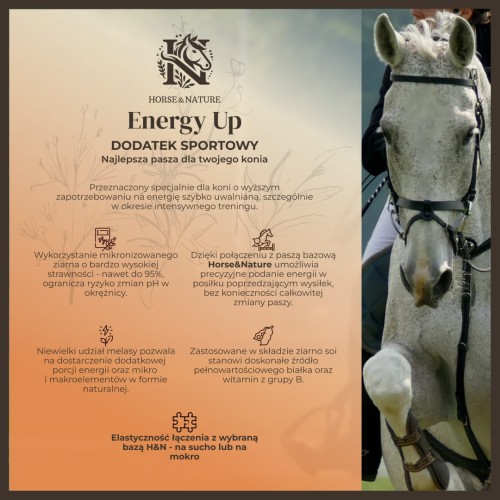 Energy Up - dodatek energetyczny dla koni