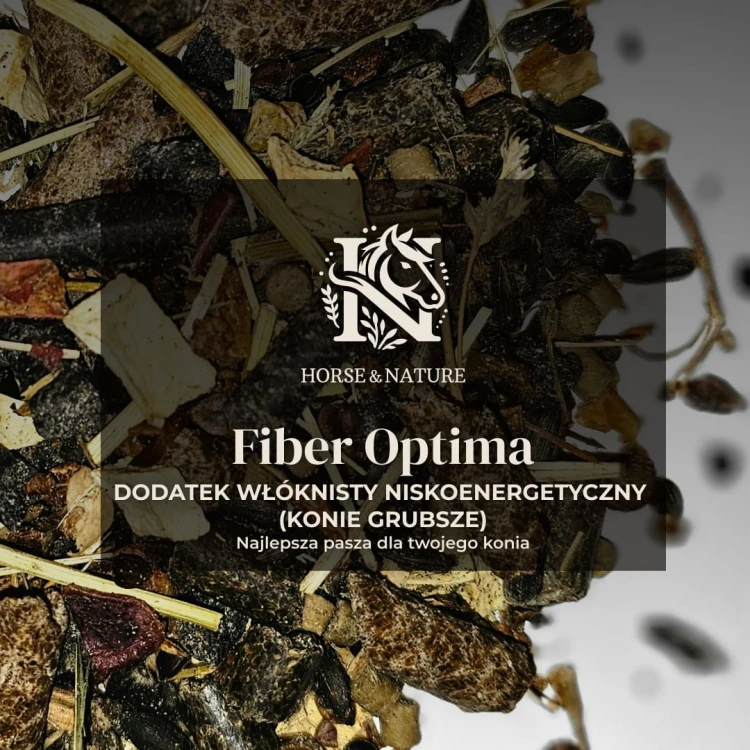 IG - Fiber Optima 2.jpg