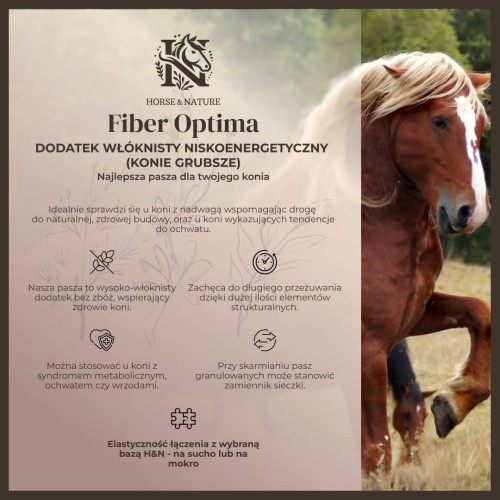 IG - Fiber Optima.jpg