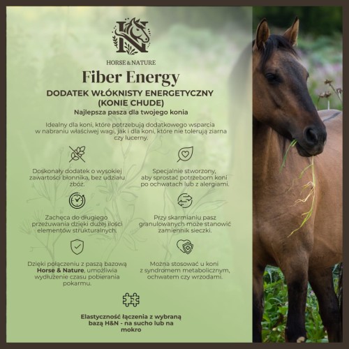IG - Fiber Energy.jpg